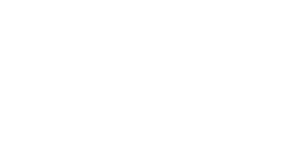 FOLLOW AGENCIA 2
